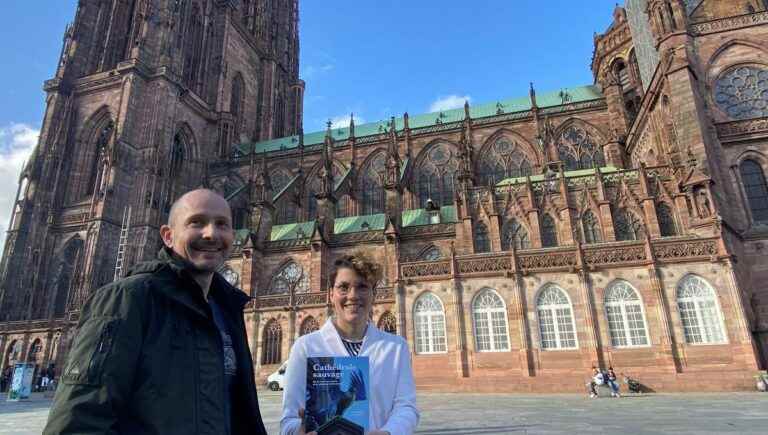 the astonishing biodiversity sheltered by Strasbourg Cathedral