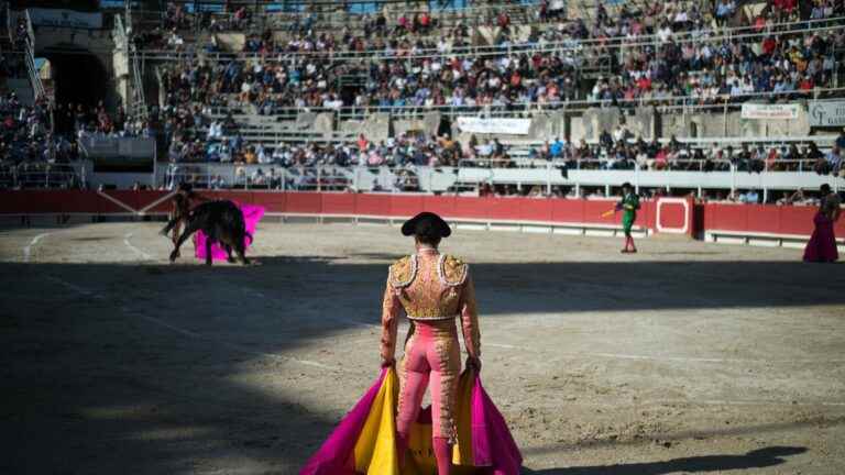 what do the French think of bullfighting?