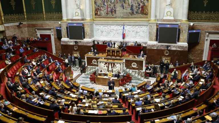 the deputies vote in first reading the inscription of the right to abortion in the Constitution