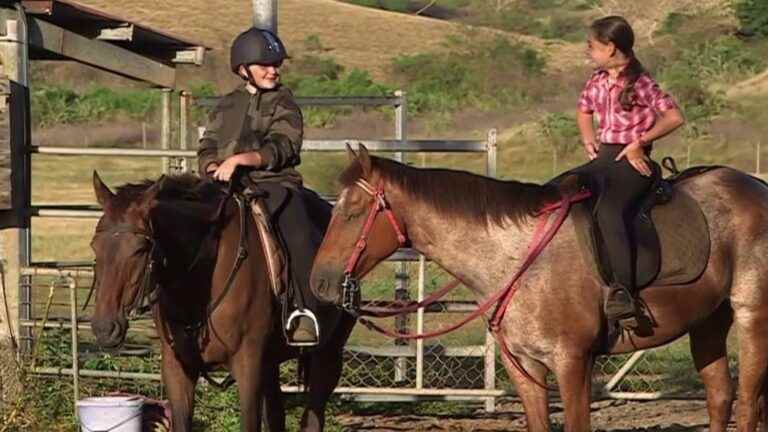 the simple and virtuous life of the “bussards”, the cowboys of the wild plains