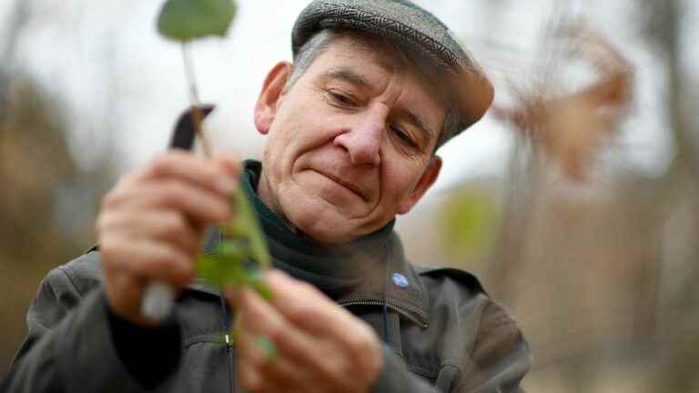 who is Tony Rinaudo, the man nicknamed the “maker of forests”?