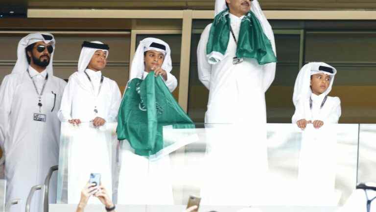 why the image of the emir of Qatar carrying the flag of Saudi Arabia is not trivial