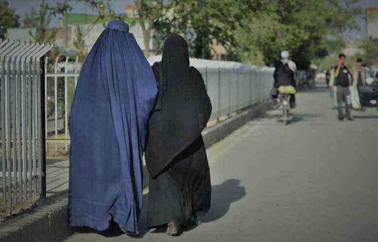 G7 urges Taliban to reverse ban on women in NGOs