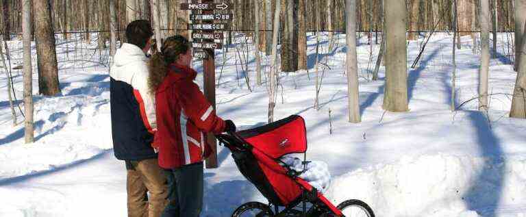 A cold but sunny Saturday awaits Quebecers