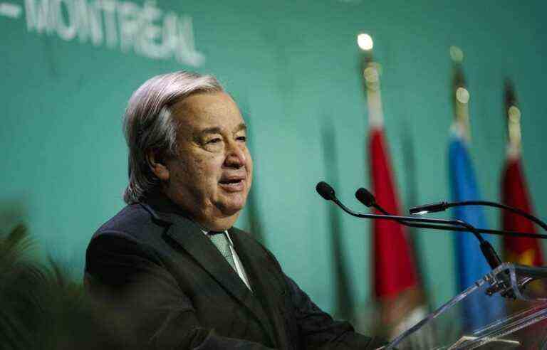 António Guterres pleads for a “peace treaty” with nature at COP15