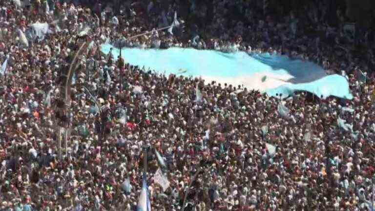 Argentina capsizes after the world title against the Blues