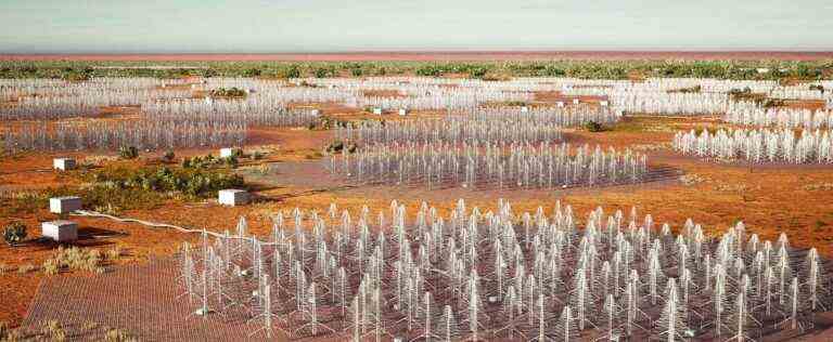 Australia: start of construction of the giant SKA radio telescope