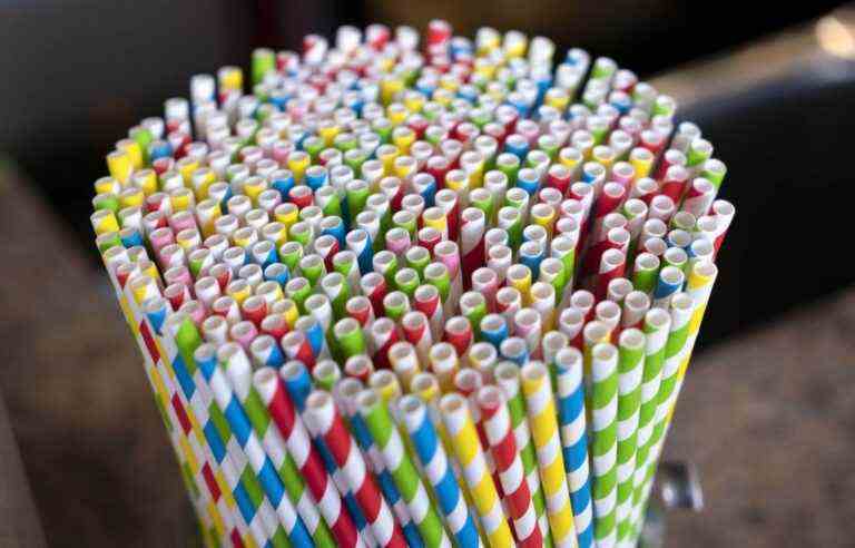 Ban on manufacturing and importing single-use plastics comes into force