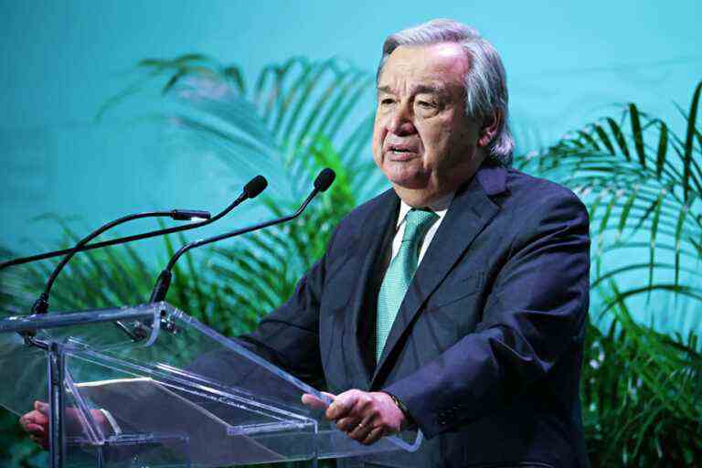 Biodiversity |  The protection of the high seas has “delayed too long”, deplores Antonio Guterres