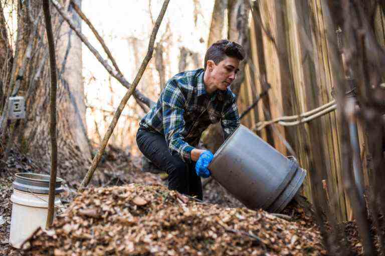 Blue planet, green ideas |  Compost your body to contribute to the “pursuit of life”