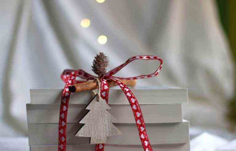 Books to fill the holidays