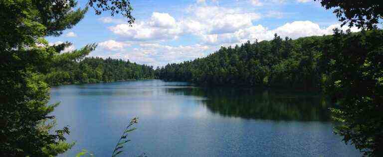 COP15: Canada must tackle biodiversity, say environmentalists