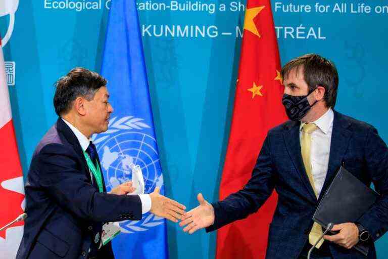 COP15 |  Positive collaboration between China and Canada