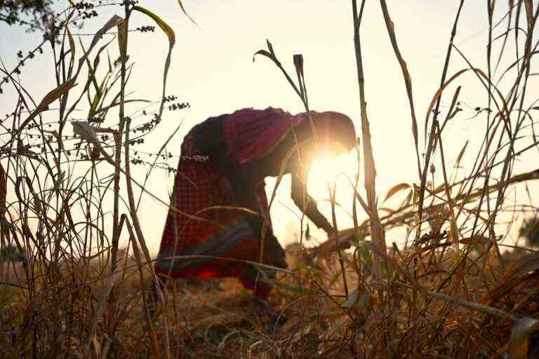 COP15 in Montreal |  Biodiversity and women’s rights