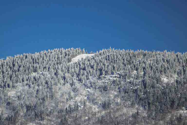 COP15 in Montreal on biodiversity |  I dare to dream of protected areas