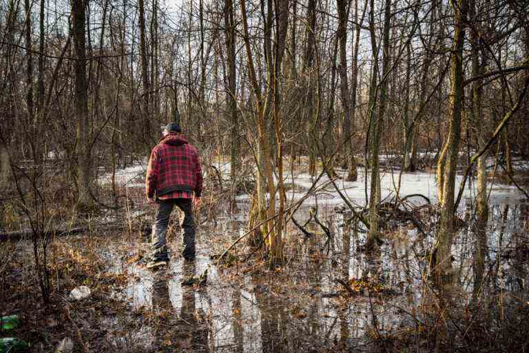 COP15 in Montreal on biodiversity |  Make nature a fundamental value of our society