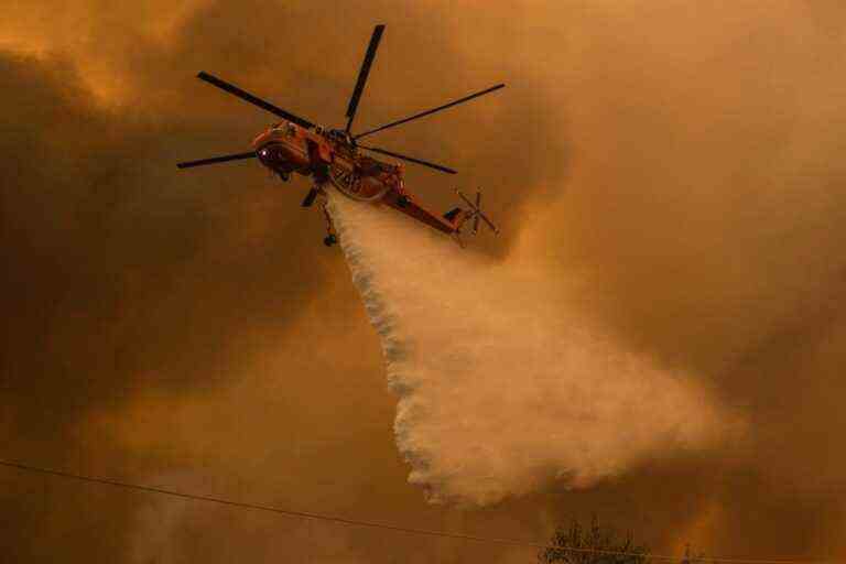 COP15 in Montreal on biodiversity |  The climate and biodiversity crises are linked