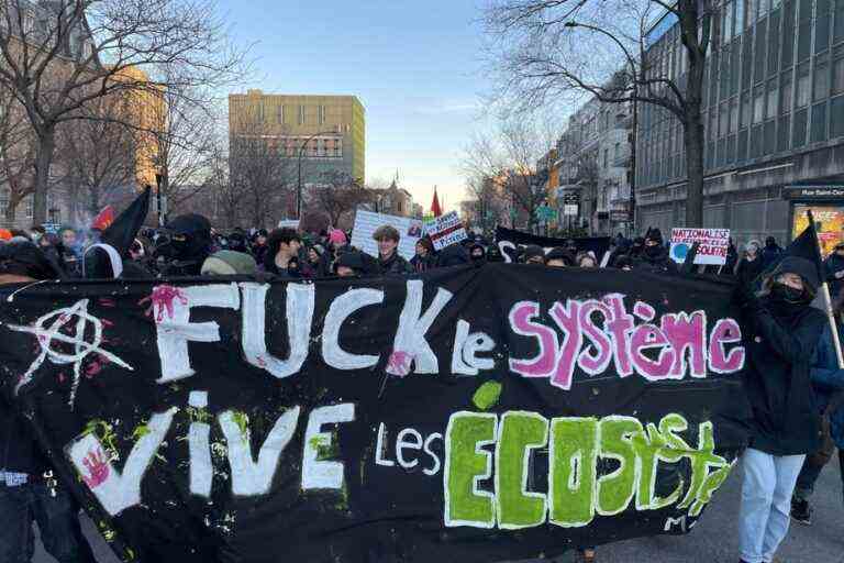 COP15 on biodiversity |  Hundreds of protesters march in Montreal