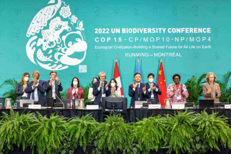 COP15 on biodiversity |  The final sprint broken down