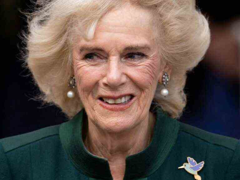 Camilla Parker Bowles sinks into aesthetic madness… What she paid to please the English people!