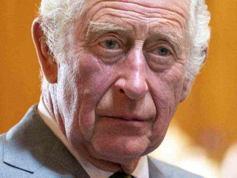 Charles III does not want to know anything about Prince Harry’s financial situation