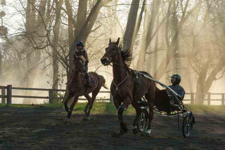 Christian Duguay and Storm |  Mission: Bring people back to theaters!