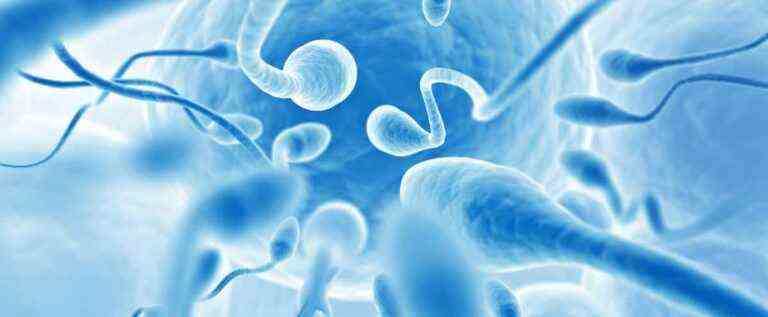 Decline in male fertility: spermaggedon?