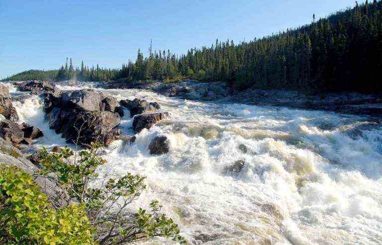 Does the government lack vision with the Magpie River?