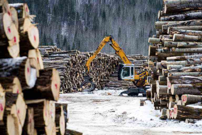 European regulations |  A project to regulate deforestation worries Ottawa