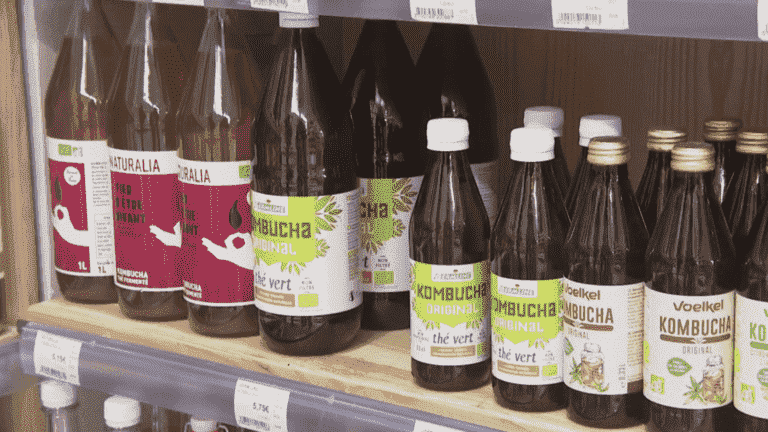 Food: the growing success of kombucha, a drink with multiple virtues