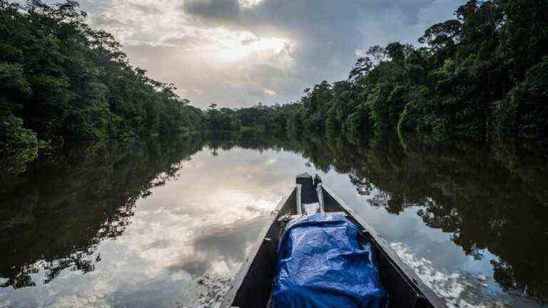 For a scientific experiment, twenty volunteers embark on a 40-day adventure in the Guyanese forest