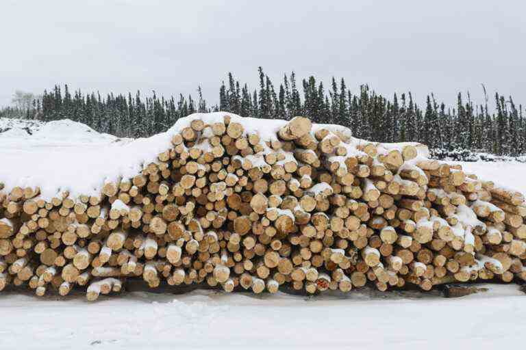 Forest industry |  Chantiers Chibougamau buys big in lumber in Abitibi