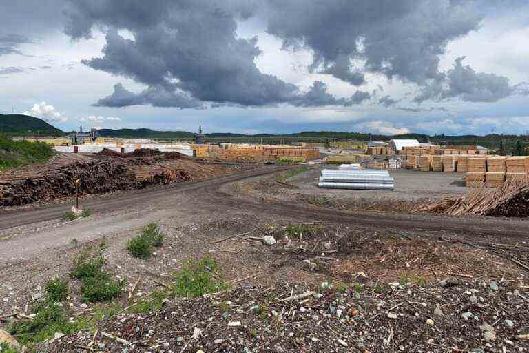 Forestry |  Chantiers Chibougamau buys GreenFirst in Quebec for 90 million