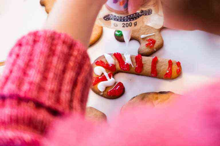 Gingerbread cookies from Lysanne and Sogali