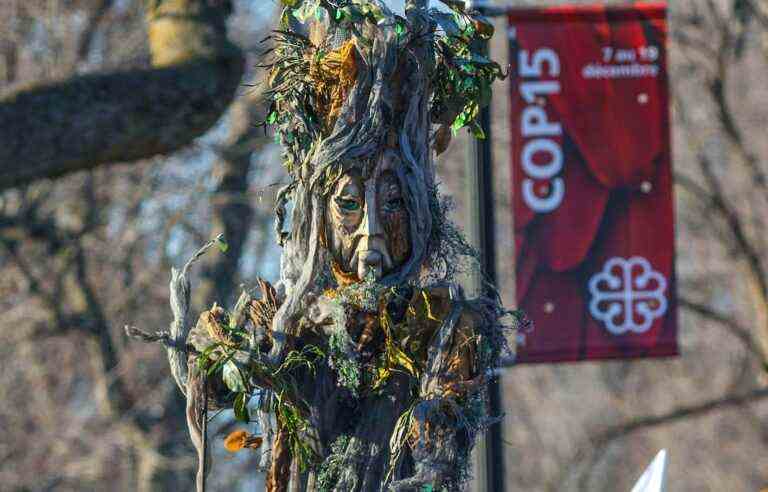 Great march for biodiversity in Montreal, on the sidelines of COP15