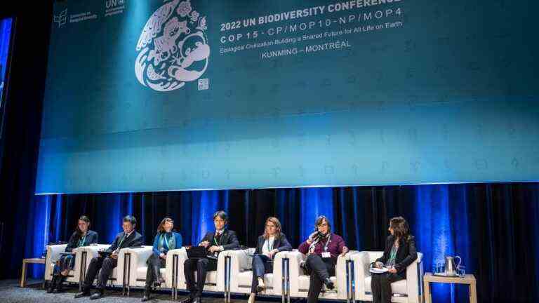 Greenwashing or sincere commitment?  At COP15 biodiversity, the presence of multinationals welcomed with circumspection