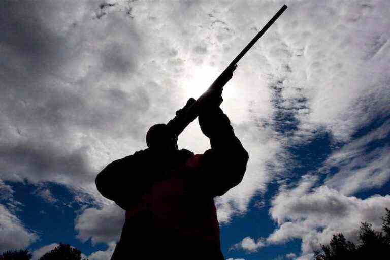 Gun Control |  Another 19,000 hunting guns available, say Liberals