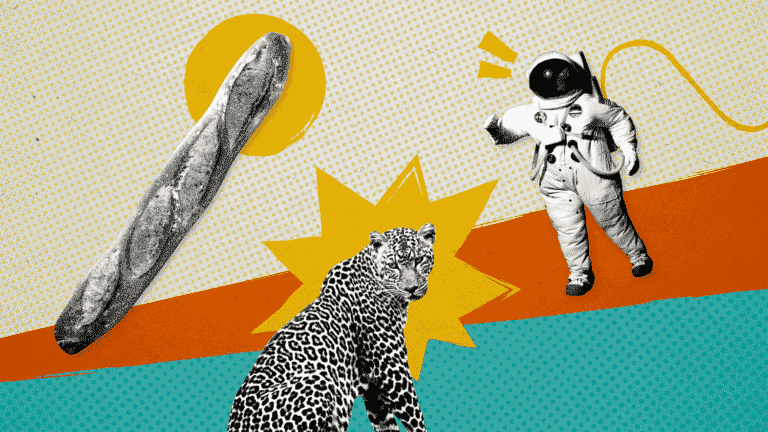 Here are 22 good news that marked the year 2022 (yes, there are!)