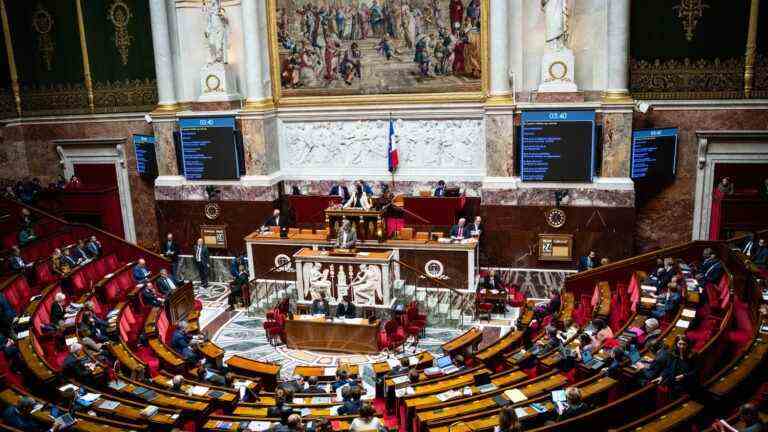 Insubordinate France withdraws its bill taken up by the National Rally