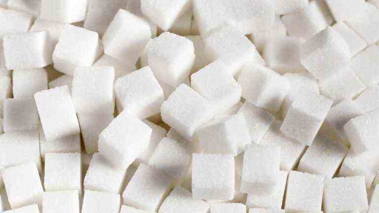 Is sugar our worst enemy?  Which products to choose to reduce the dose?