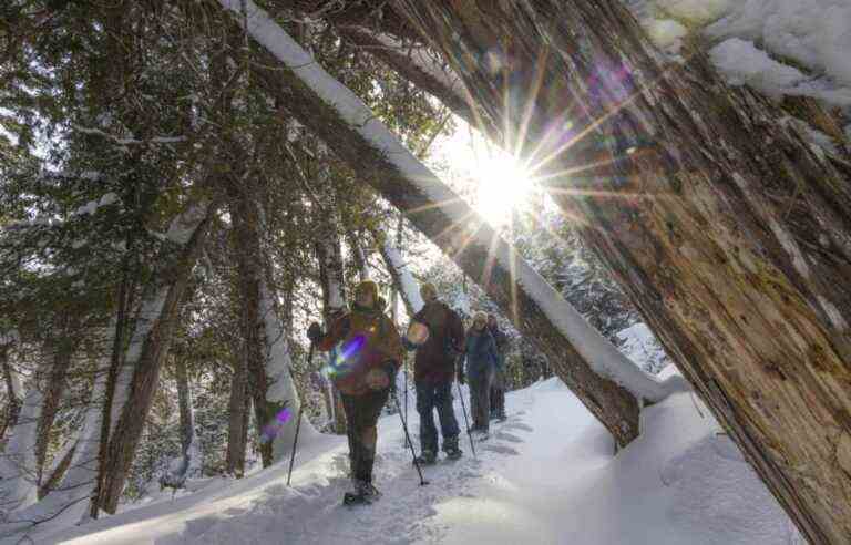 Live winter to the fullest: everyone outside!