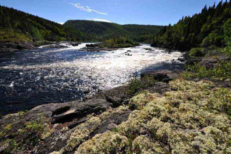 Magpie River and Pipmuakan |  Recognize Indigenous leadership for the protection of the territory