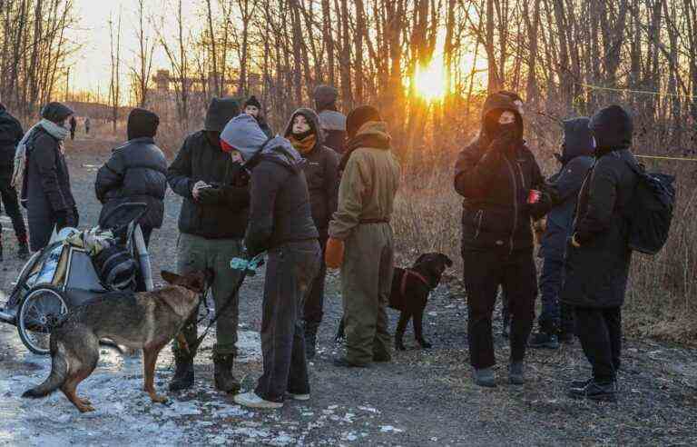 Mobilization to protect the Boisé Steinberg in the east of Montreal