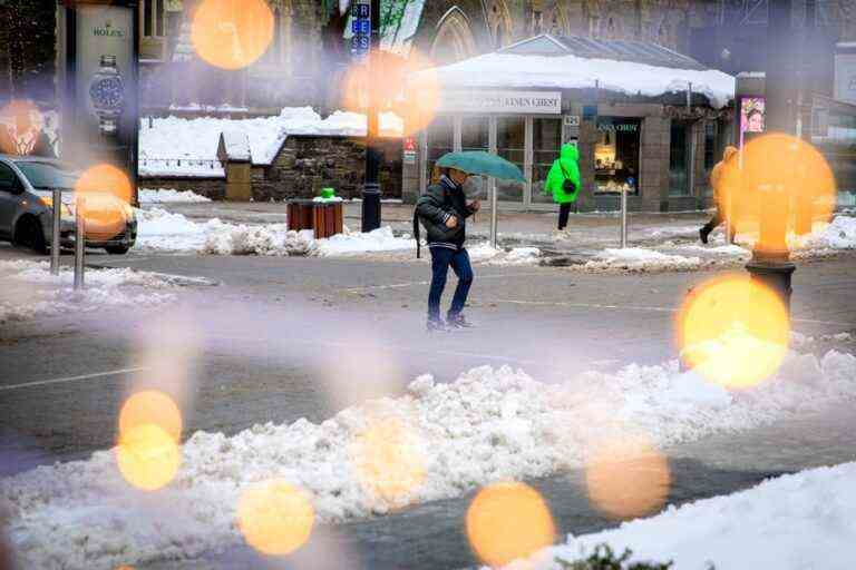 Montreal |  Downtown alive despite the storm