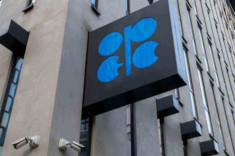 Oil |  OPEC+ maintains production quotas amid uncertainty