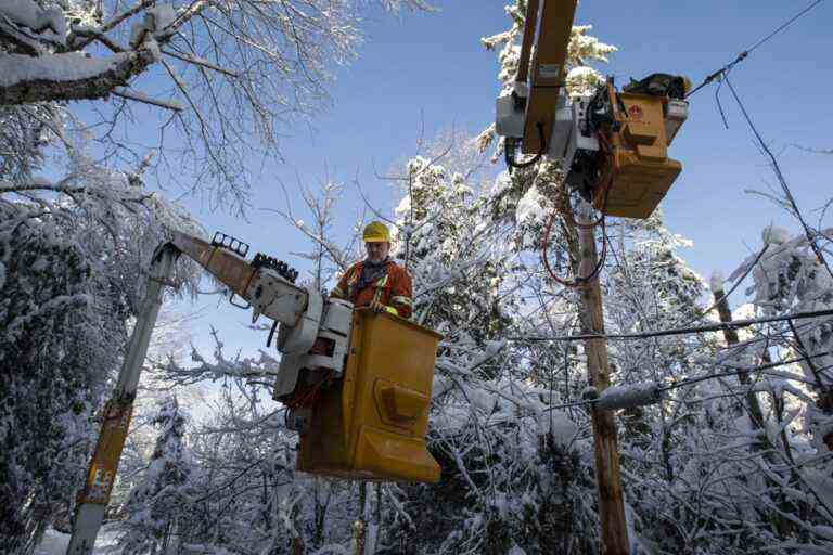 One week after the storm |  About 5,000 customers without electricity