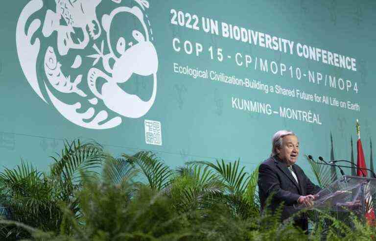 [Opinion] COP15, the time for ambition