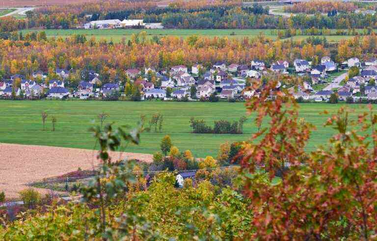 [Opinion] Cities and science, allies for biodiversity