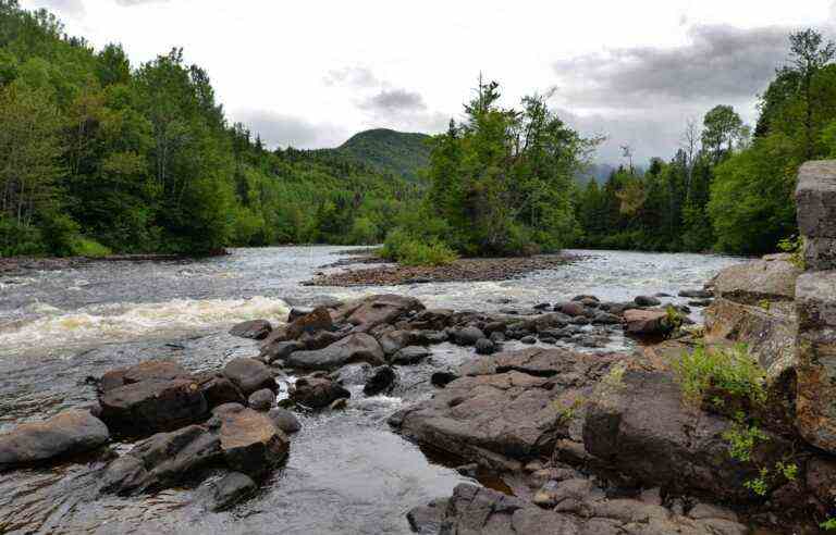 [Opinion] The rights of nature, a response to the climate and ecological crisis