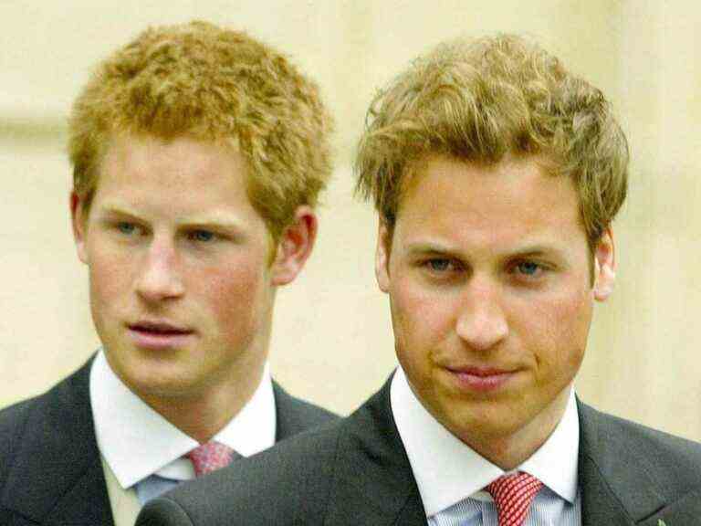 Prince Harry accuses William of betraying him by breaking a pact they made as children